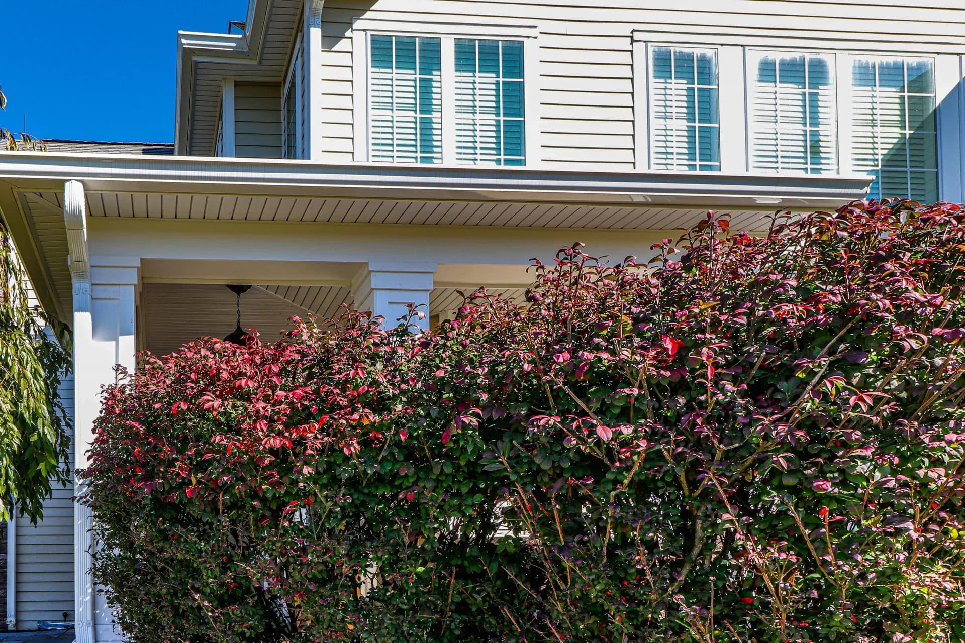 Siding and Windows